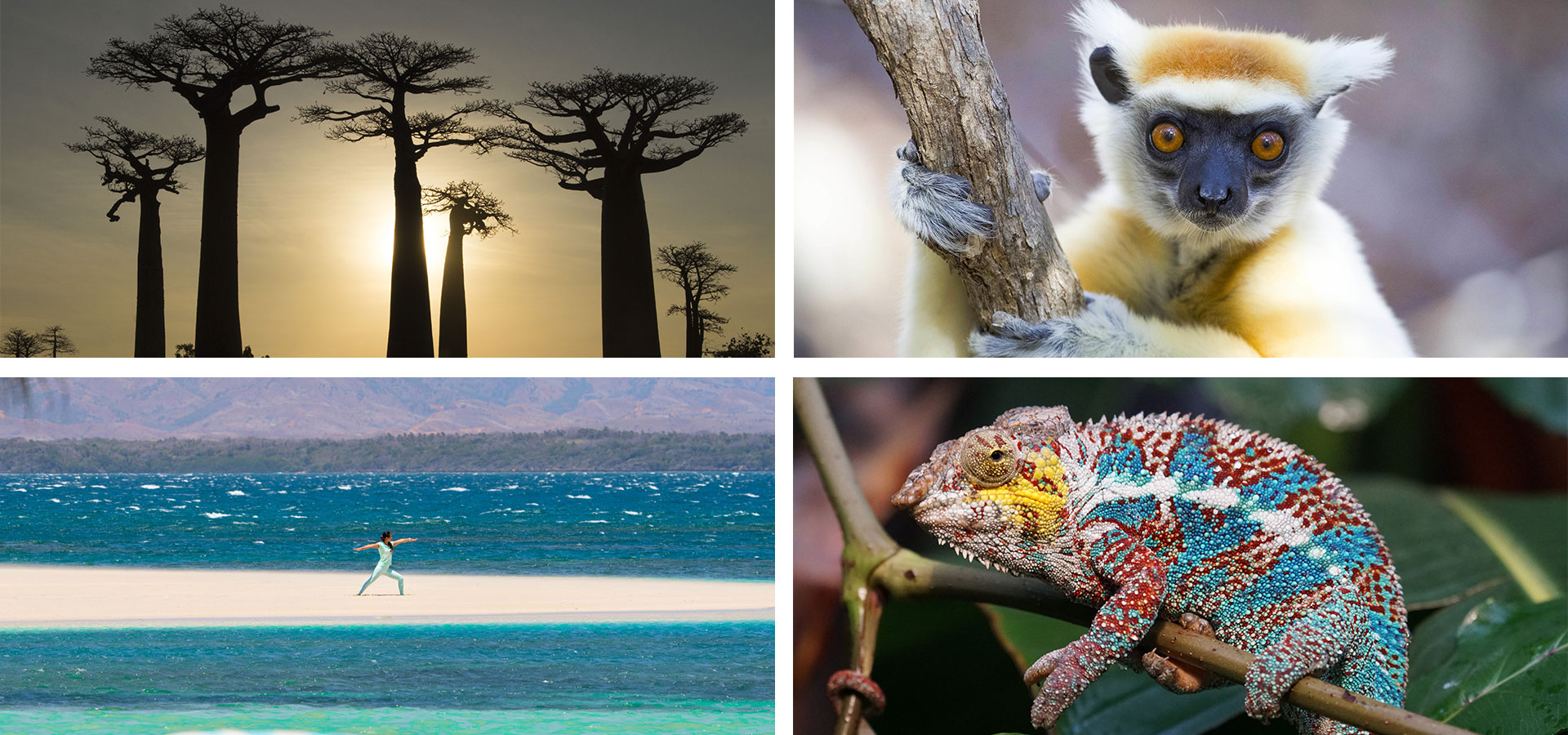Madagascar - When and where to travel in Africa - Luxury Africa Safaris with Forth & Wonder
