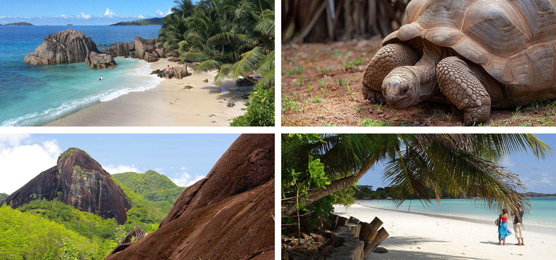 Seychelles - When and where to travel in Africa - Luxury Africa Safaris with Forth & Wonder