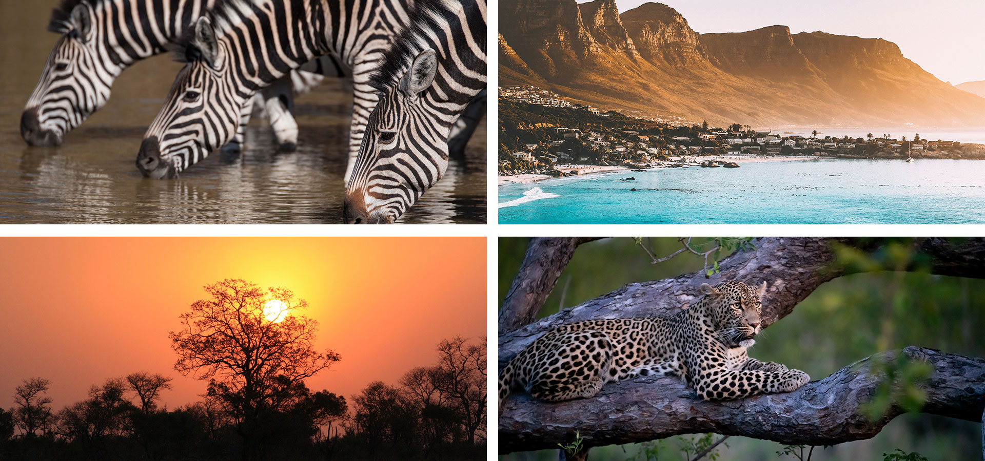 South Africa - When and where to travel in Africa - Luxury Africa Safaris with Forth & Wonder