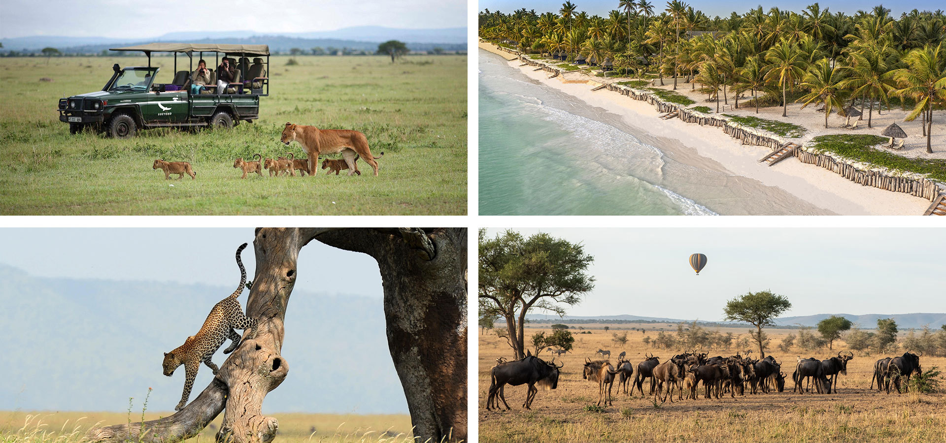 Tanzania - When and where to travel in Africa - Luxury Africa Safaris with Forth & Wonder