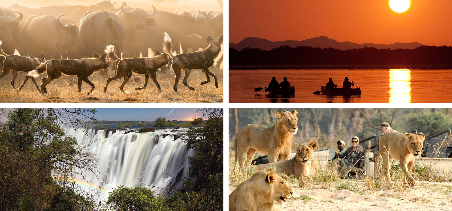 Zambia - When and where to travel in Africa - Luxury Africa Safaris with Forth & Wonder