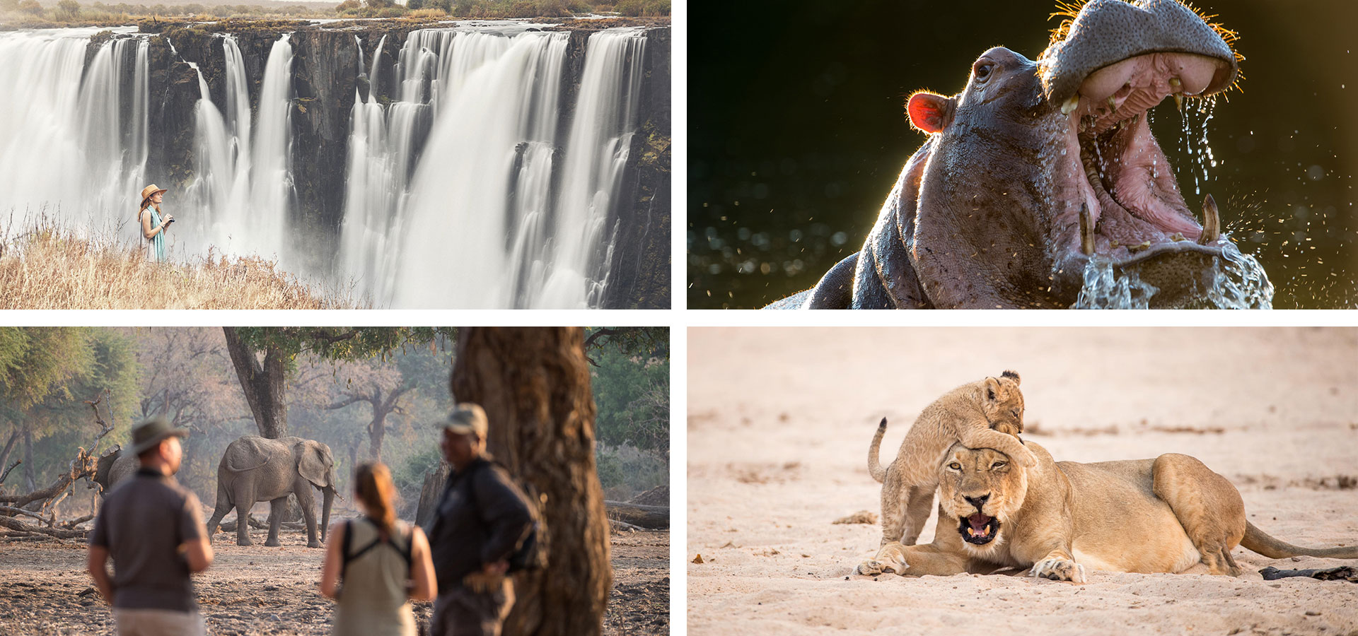 Zimbabwe - When and where to travel in Africa - Luxury Africa Safaris with Forth & Wonder