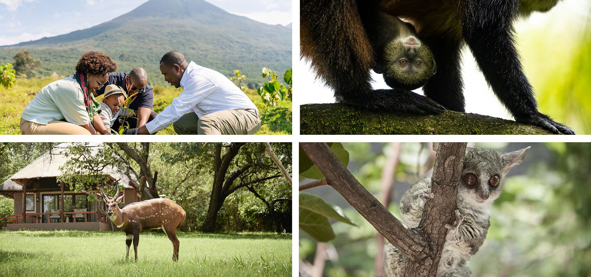 wildlife - Safaris with kids - Luxury Africa Safaris with Forth & Wonder