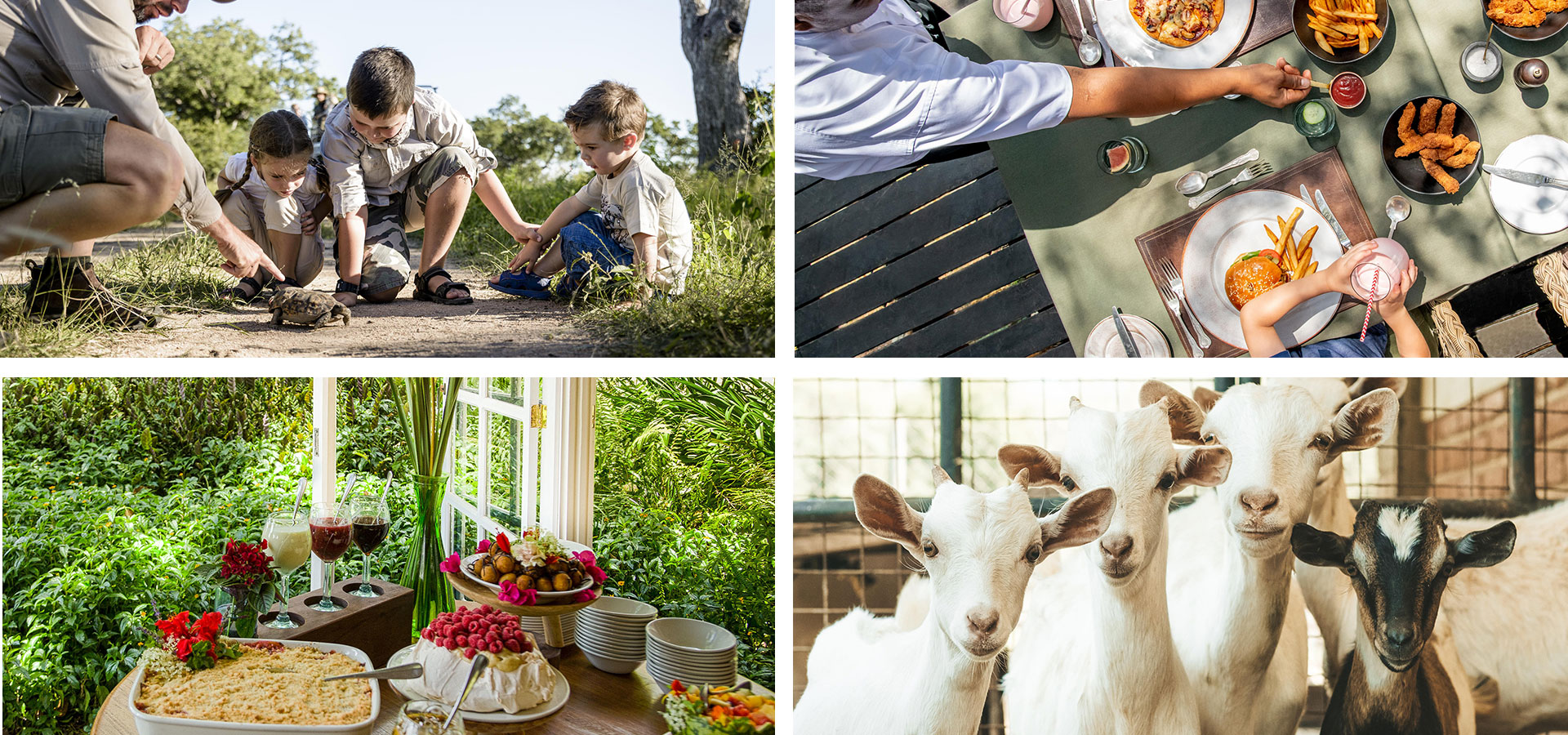 from farm to table - Safaris with kids - Luxury Africa Safaris with Forth & Wonder