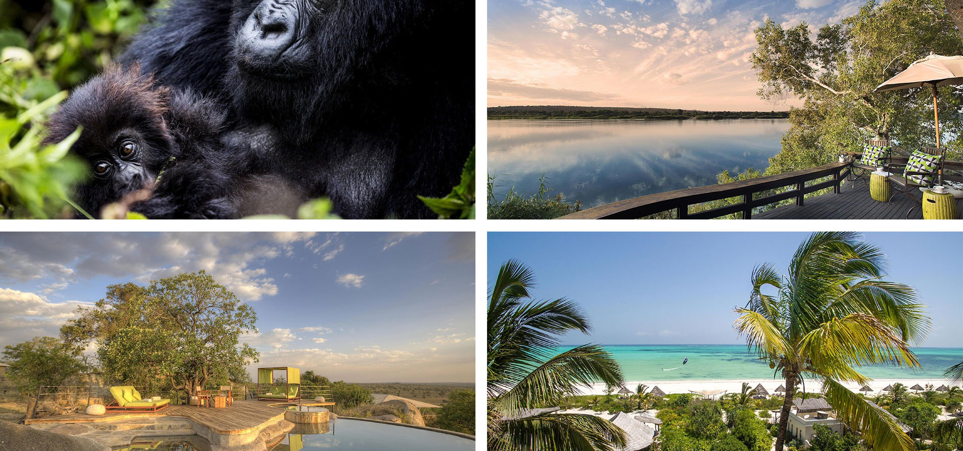 Special-Occasions-Luxury Africa Safaris with Forth & Wonder