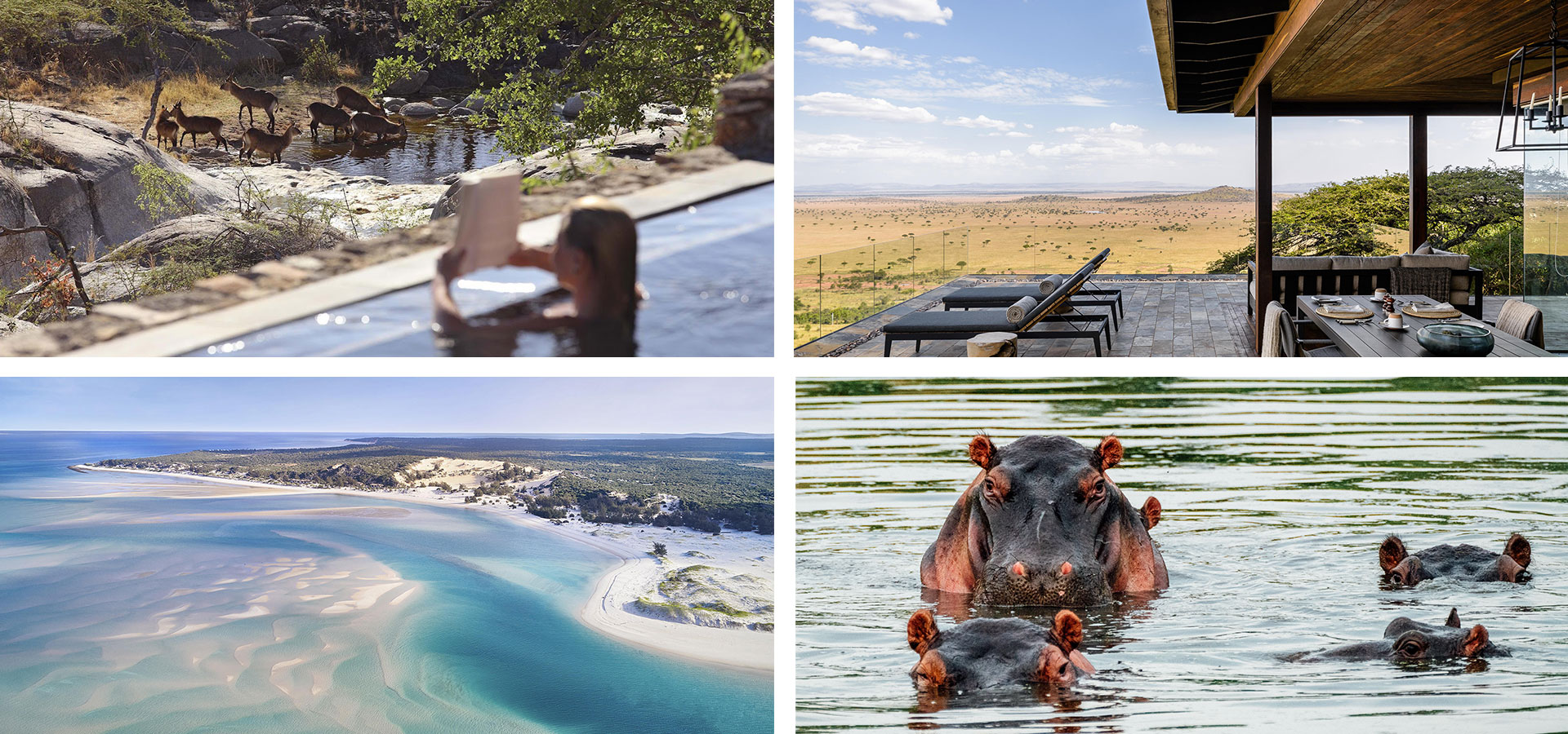 Special-Occasions-Luxury Africa Safaris with Forth & Wonder