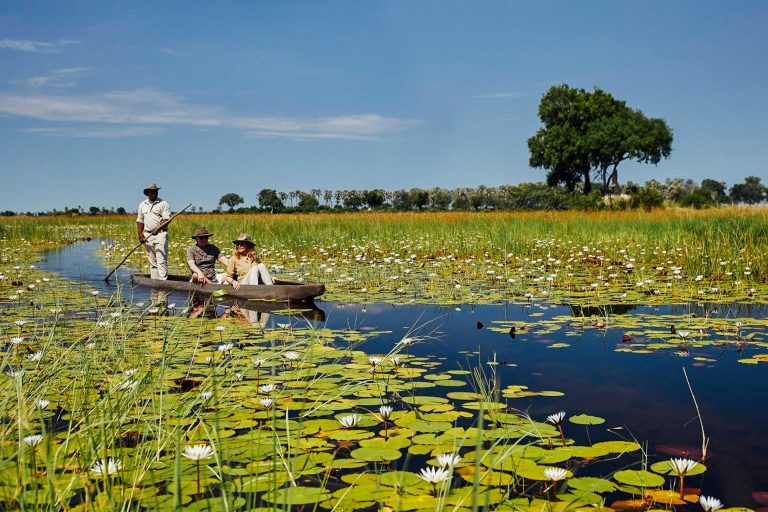 Special-Occasions-Luxury Africa Safaris with Forth & Wonder