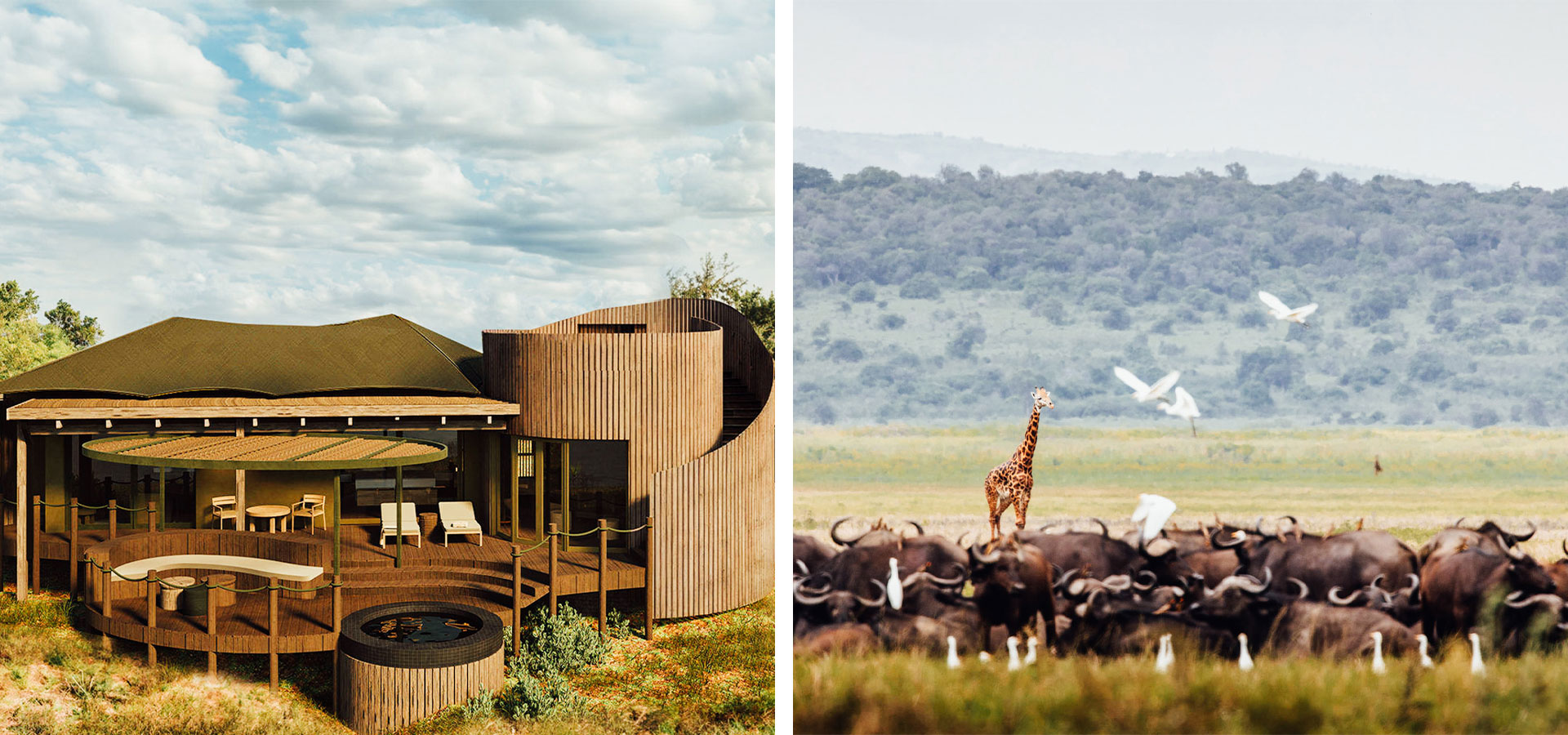 Wilderness Magashi Peninsula-New Camps and Lodges-Luxury Africa Safaris with Forth & Wonder