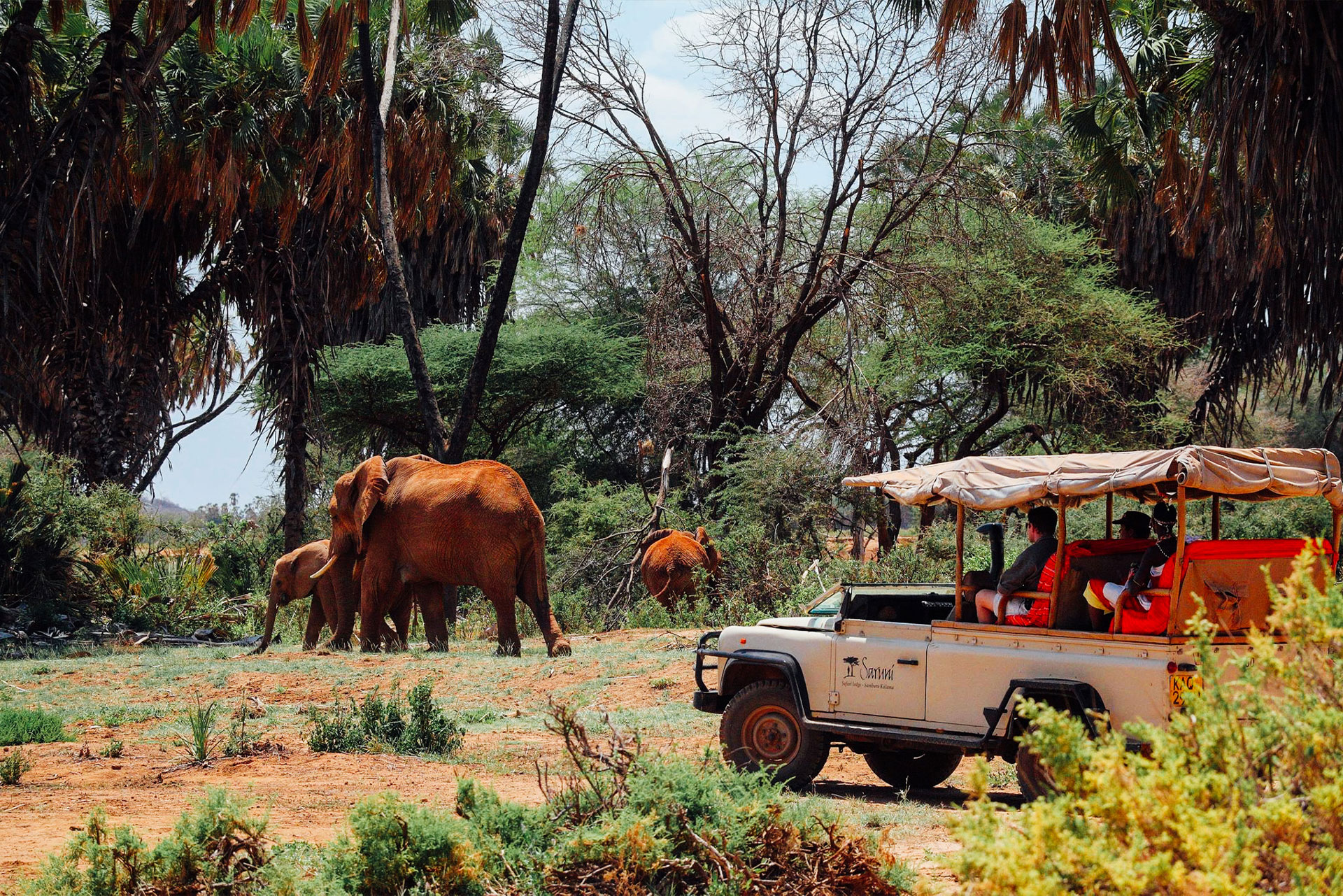 private vehicle-private journey vs group tour-Luxury Africa Safaris with Forth & Wonder