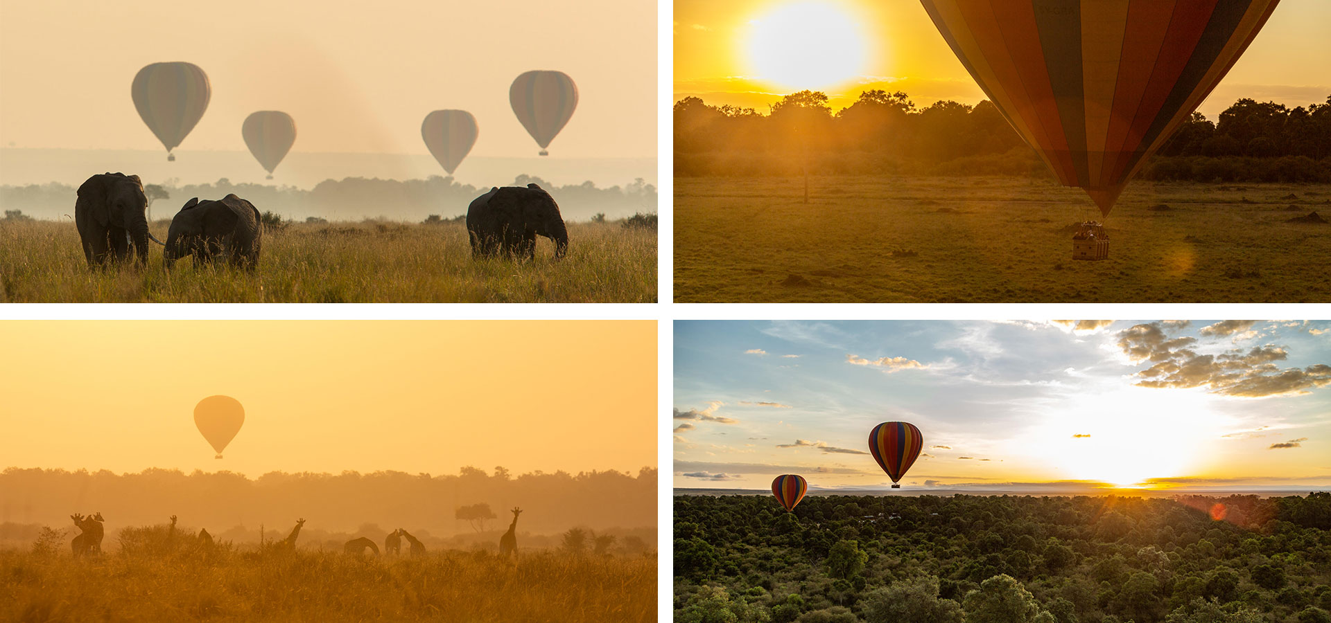 Maasai Mara - Hot Air Ballooning & Helicopter Flights - Luxury Africa Safaris with Forth & Wonder