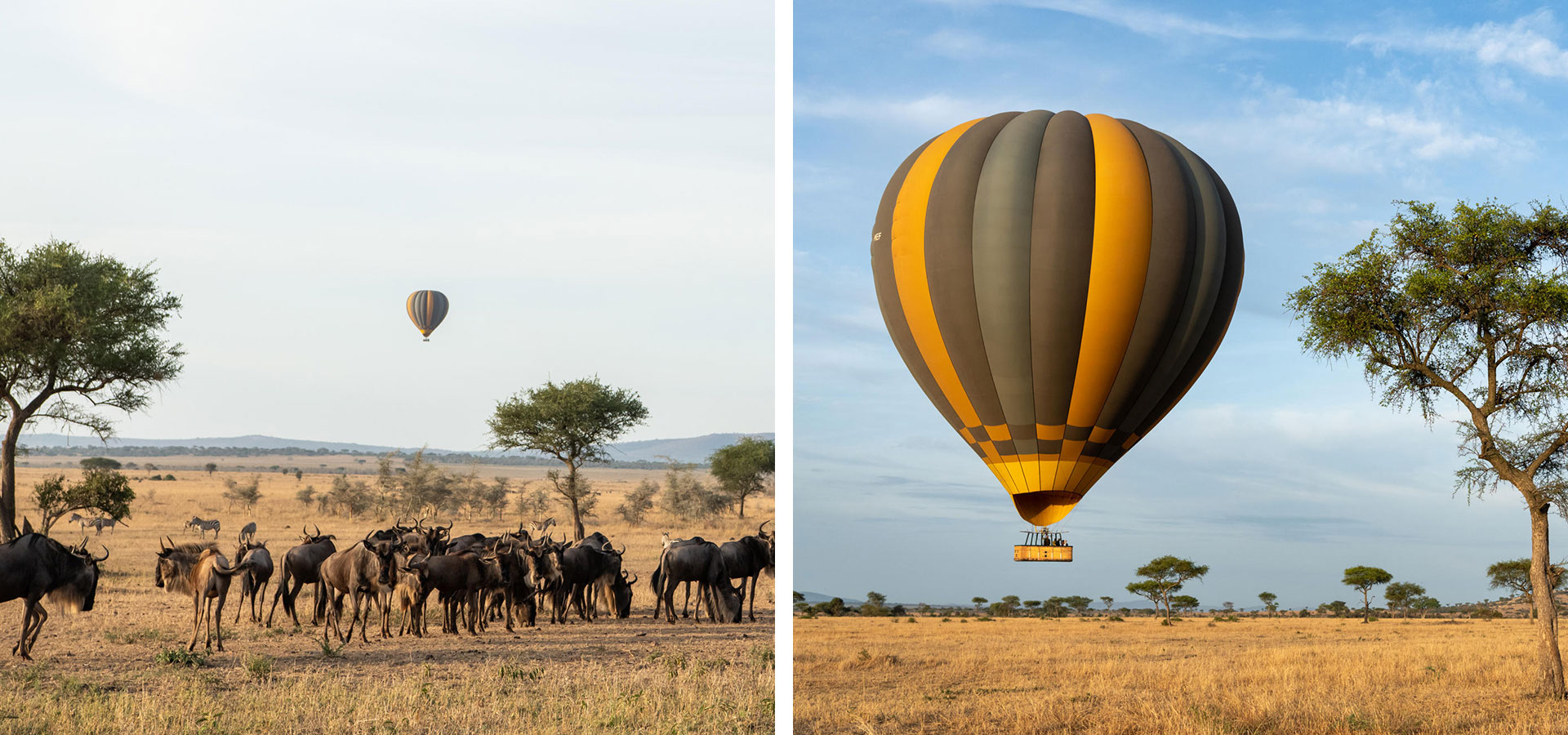 Serengeti - Hot Air Ballooning & Helicopter Flights - Luxury Africa Safaris with Forth & Wonder