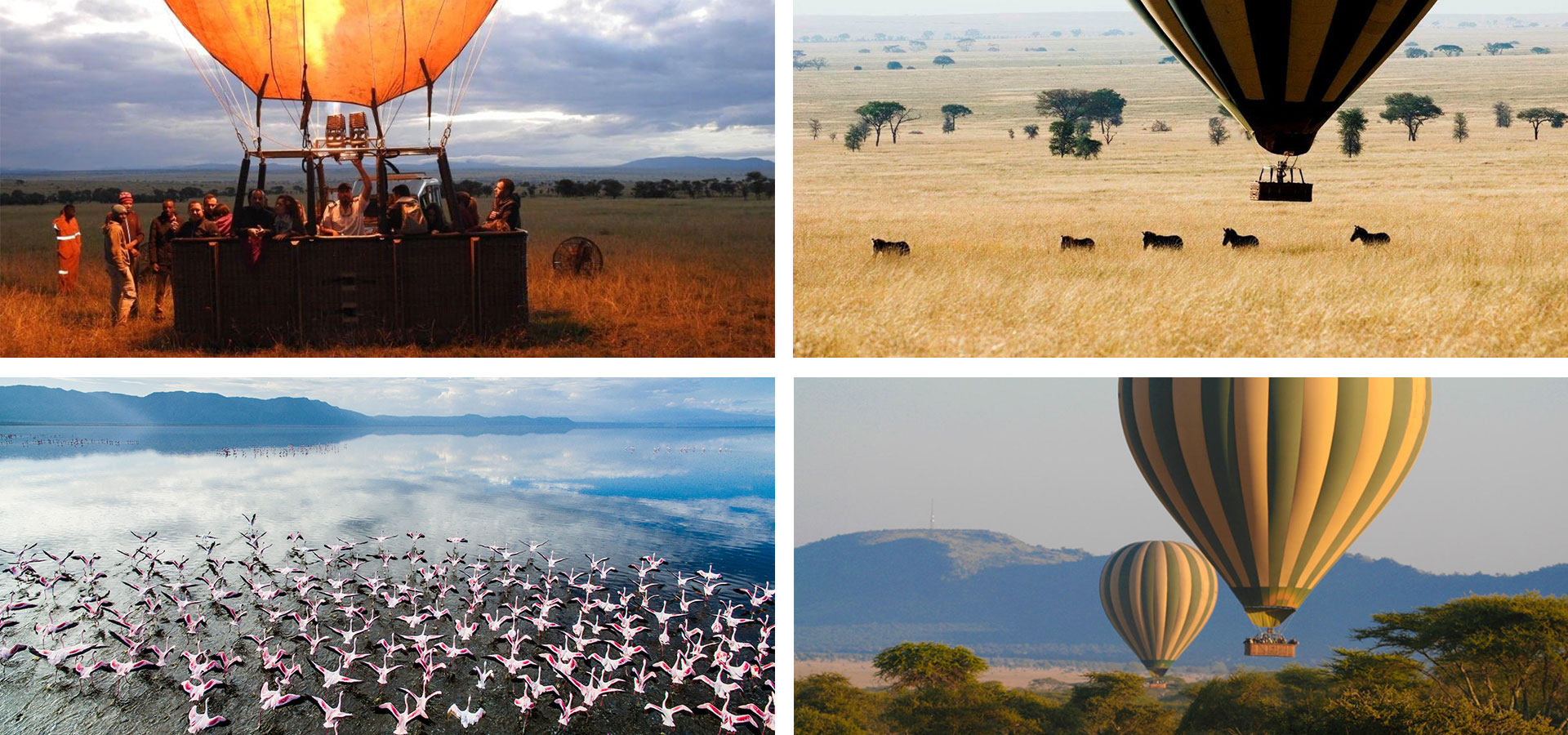 Tarangire, Tanzania - Hot Air Ballooning & Helicopter Flights - Luxury Africa Safaris with Forth & Wonder