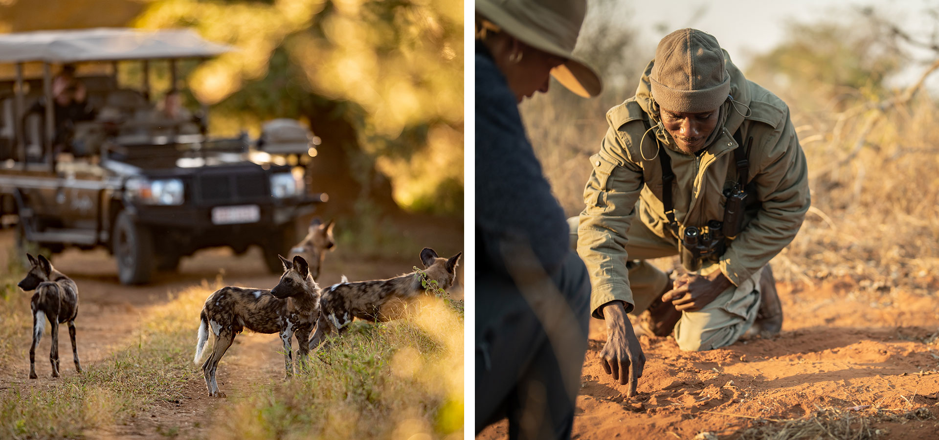 Game drives and tracking - Singita Pamushana Lodge - Luxury Africa Safaris with Forth & Wonder