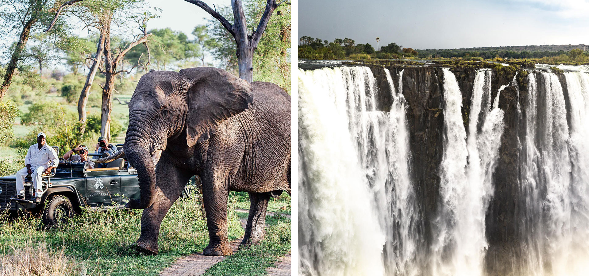 Elephants and Victoria Falls - Southern vs. East Africa - Luxury Africa Safaris with Forth & Wonder