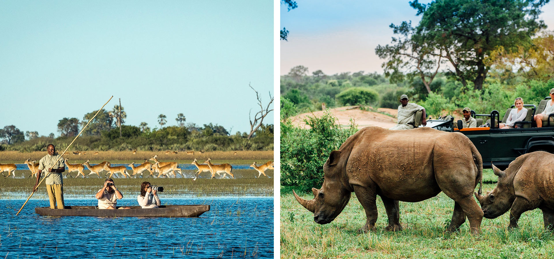 Okavango Delta and Rhinos - Southern vs. East Africa - Luxury Africa Safaris with Forth & Wonder