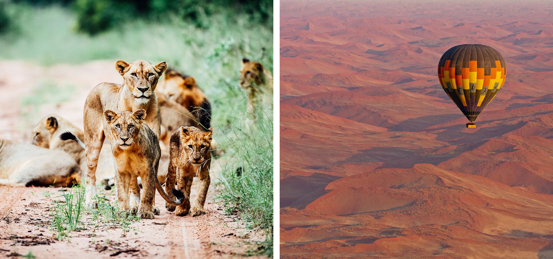 Lions and hot air ballooning Namibia - Southern vs. East Africa - Luxury Africa Safaris with Forth & Wonder