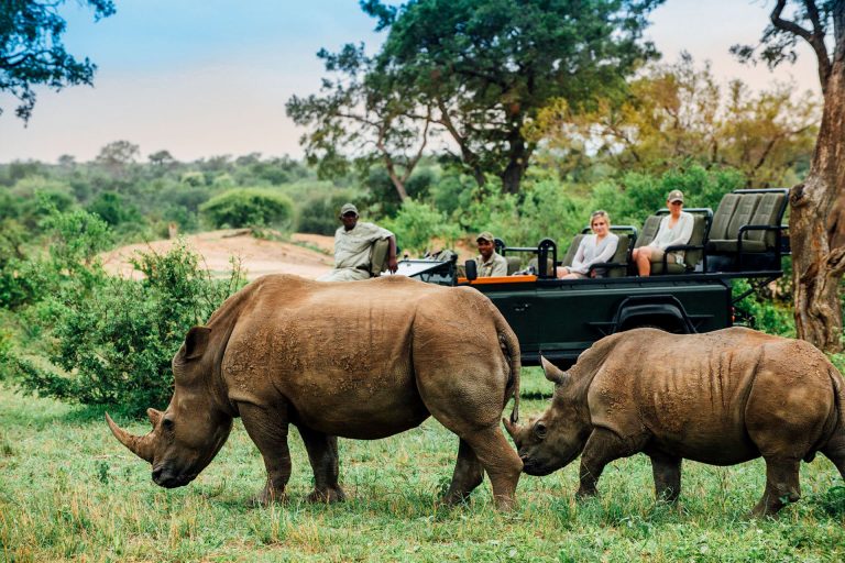 Rhinos - Southern vs. East Africa - Luxury Africa Safaris with Forth & Wonder