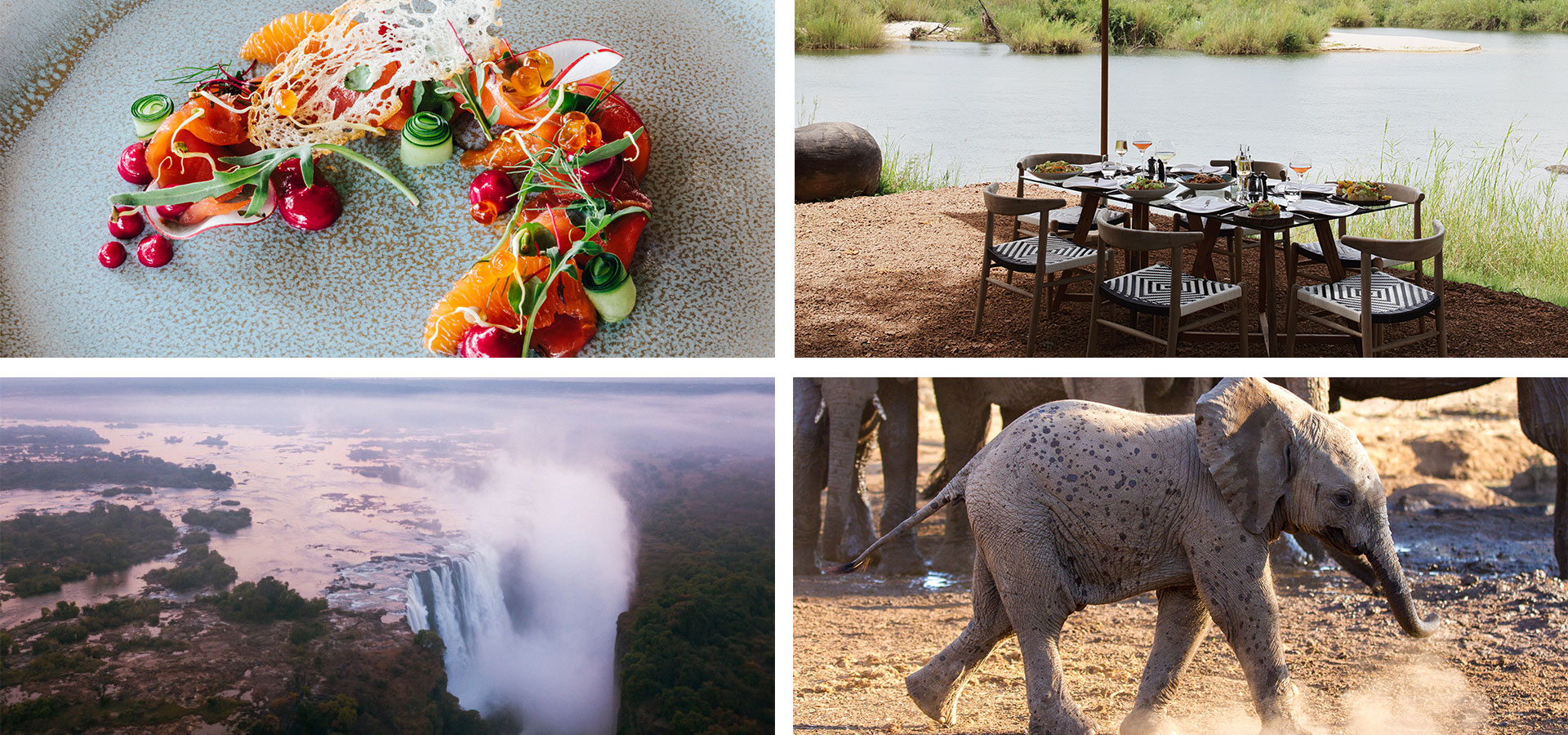 Matetsi Victoria Falls - Food and Culinary experiences - Luxury Africa Safaris with Forth & Wonder