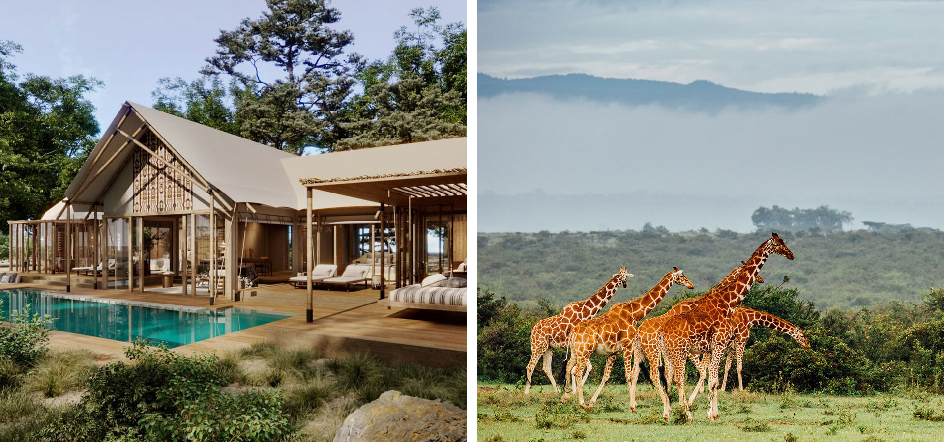 JW Marriott Mount Kenya Rhino Lodge - Kenya - Luxury Africa Safaris with Forth & Wonder