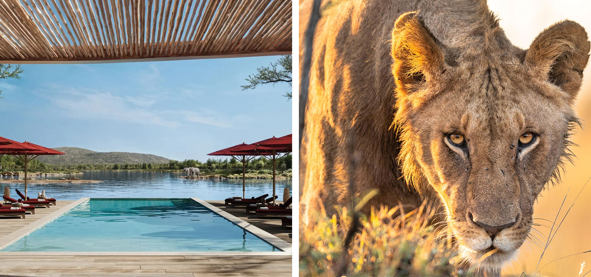 Ubuyu Banyan Tree - Tanzania - Luxury Africa Safaris with Forth & Wonder