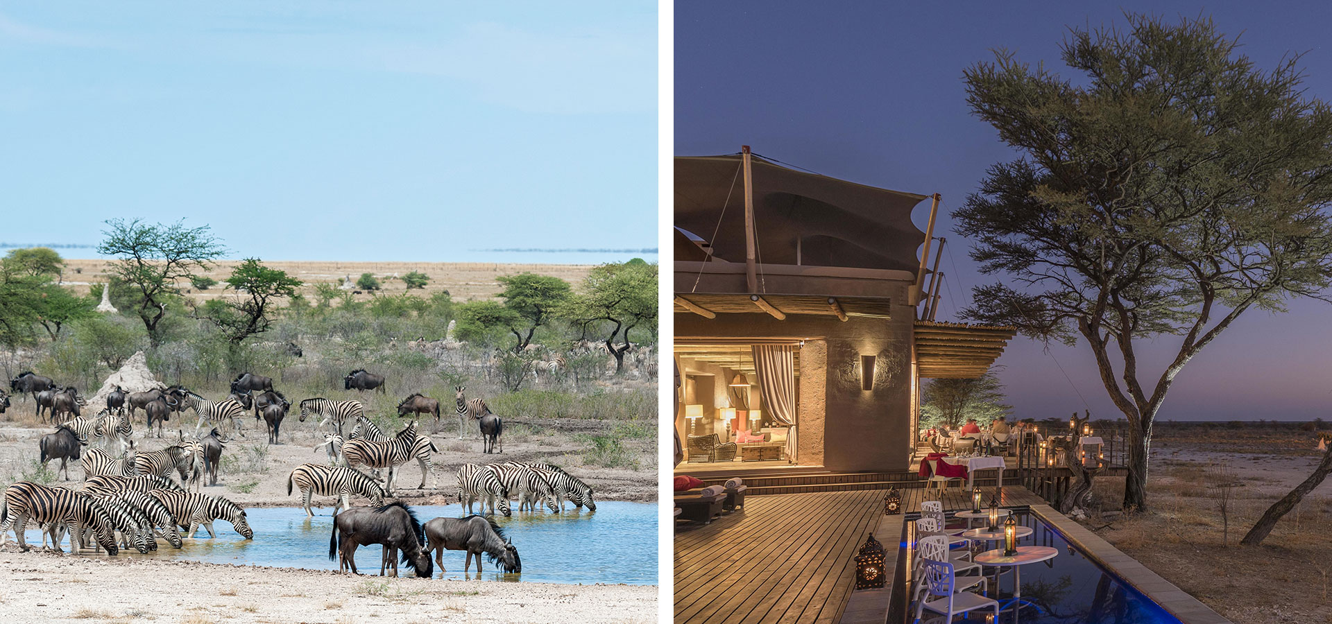 Etosha National Park - September in Namibia - Luxury Africa Safaris with Forth & Wonder