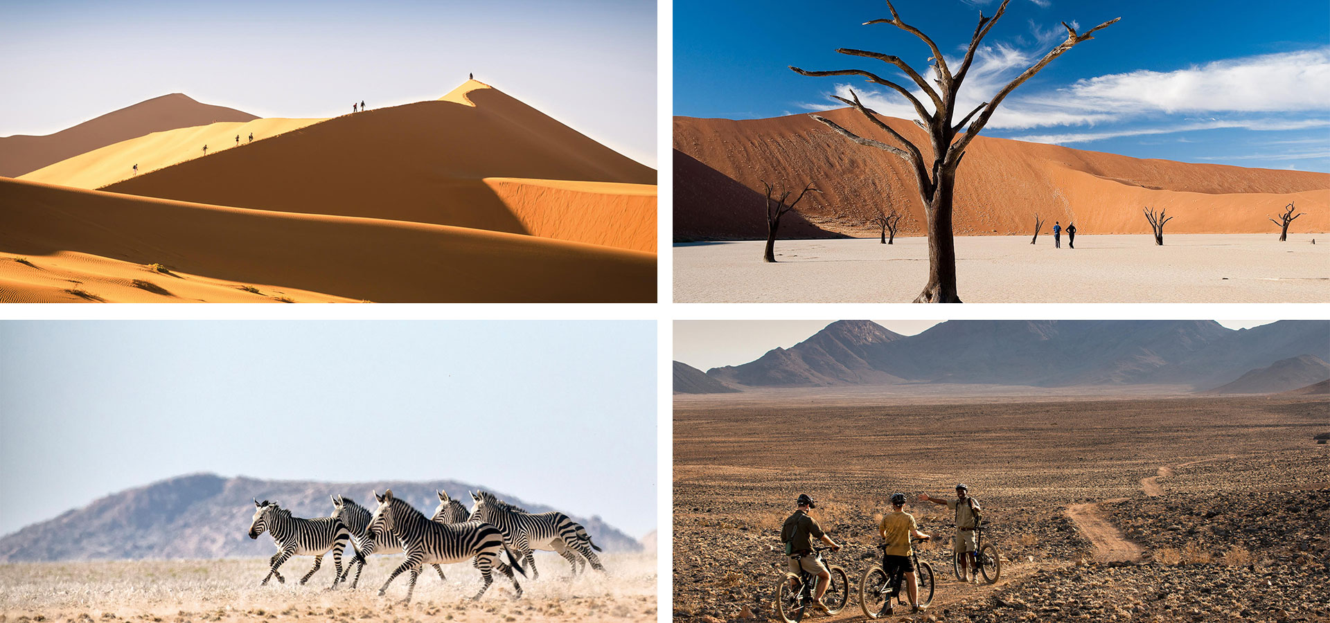 Sossusvlei & Deadvlei - September in Namibia - Luxury Africa Safaris with Forth & Wonder
