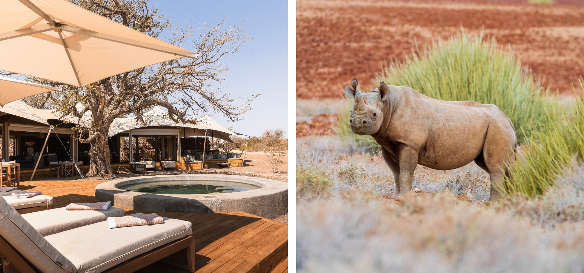 Wilderness Desert Rhino Camp - Namibia - Luxury Africa Safaris with Forth & Wonder