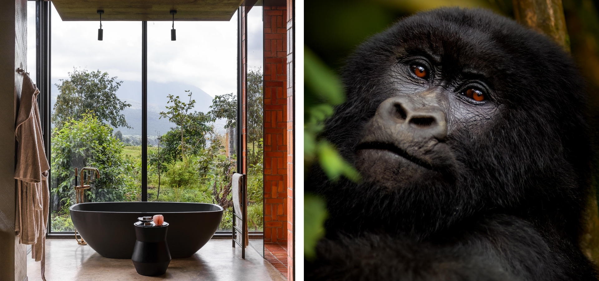Singita Kwitonda Lodge - Rwanda&nbsp;- Luxury Africa Safaris with Forth & Wonder