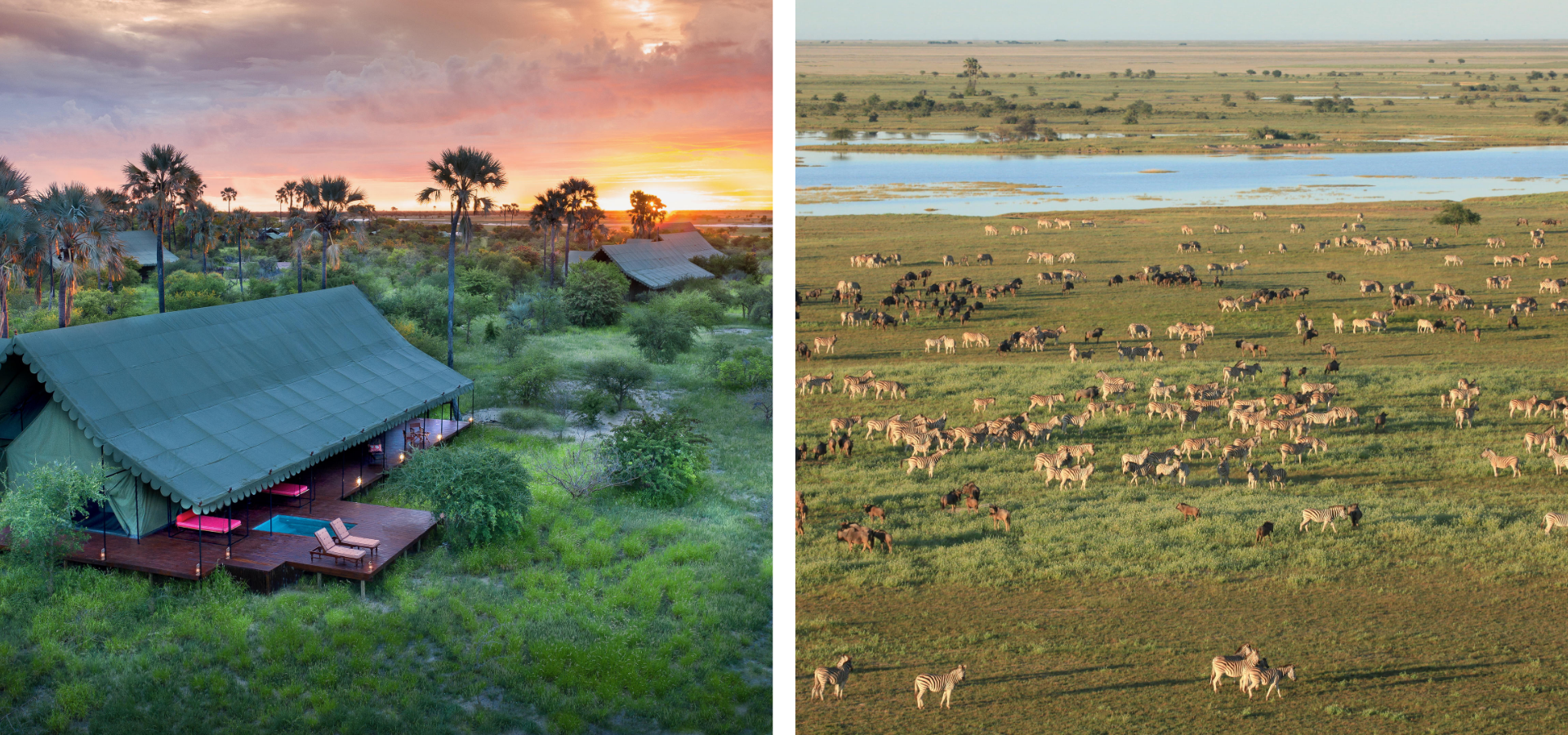 Natural Selection – Jack’s Camp - Botswana - Luxury Africa Safaris with Forth & Wonder