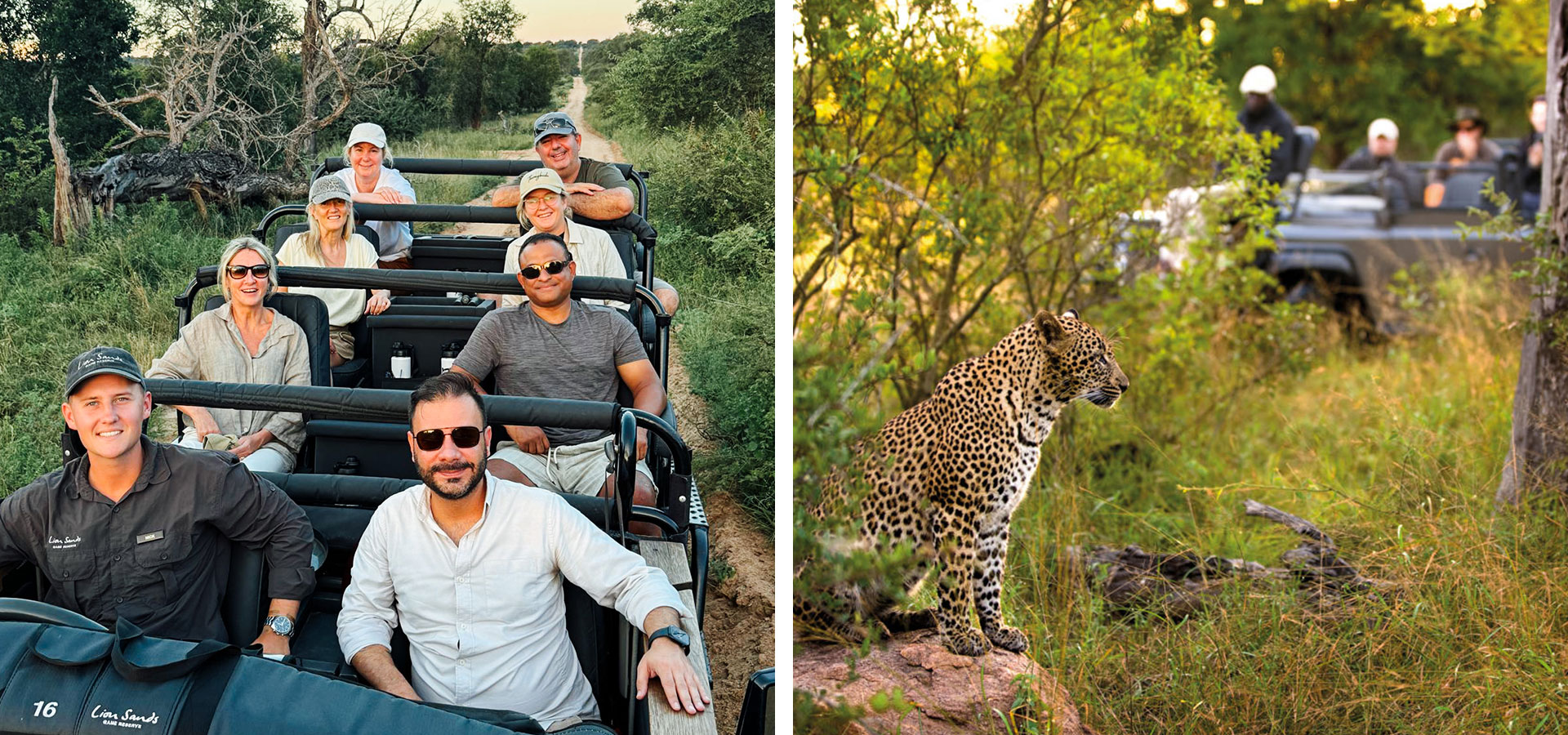 Lion Sands Private Reserve, South Africa - Luxury Africa Safaris with Forth & Wonder