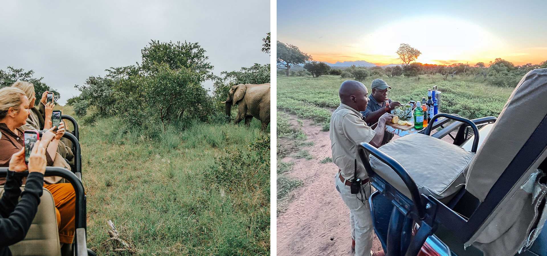 Thornybush, Greater Kruger, South Africa - Luxury Africa Safaris with Forth & Wonder