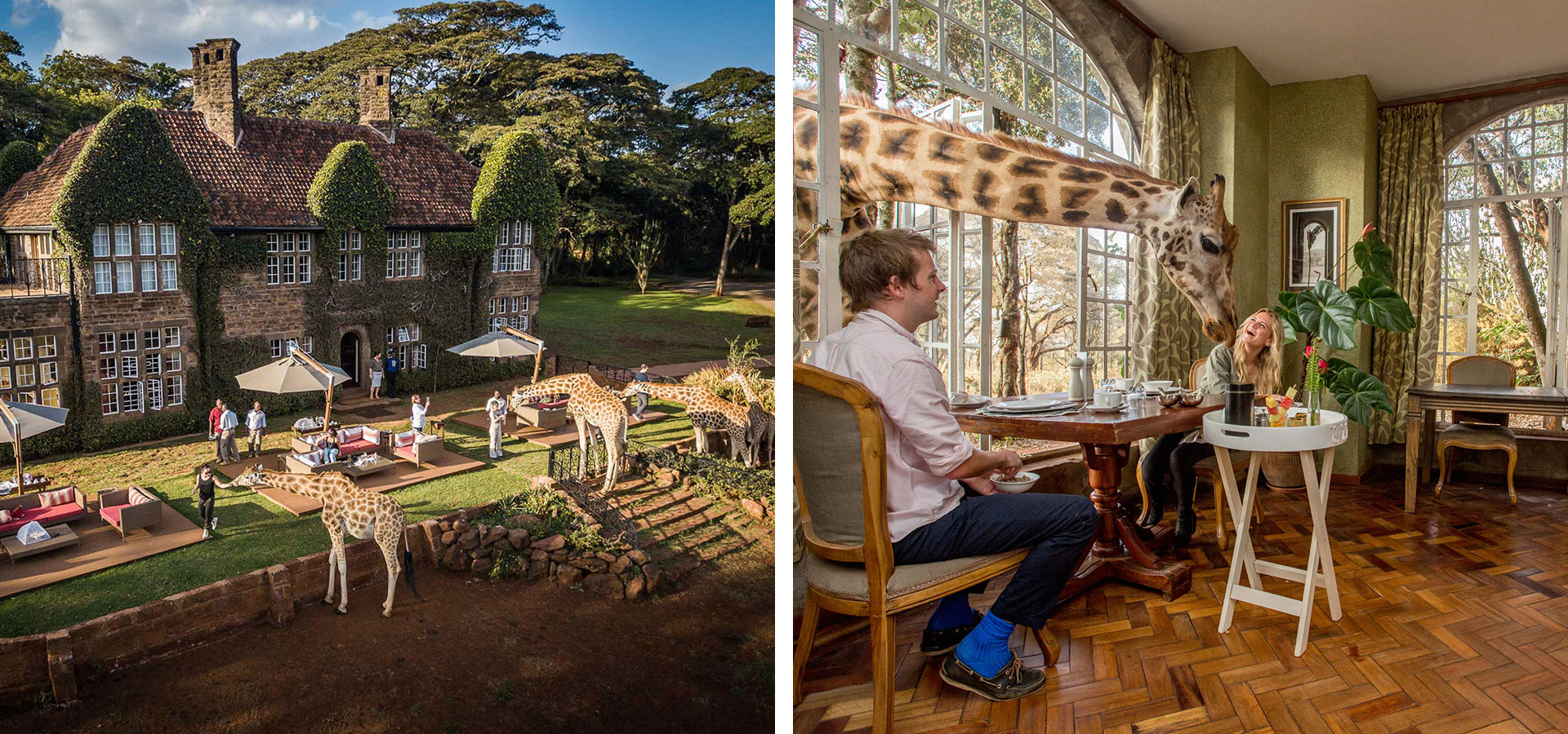 Giraffe Manor, Kenya - Luxury Africa Safaris with Forth & Wonder
