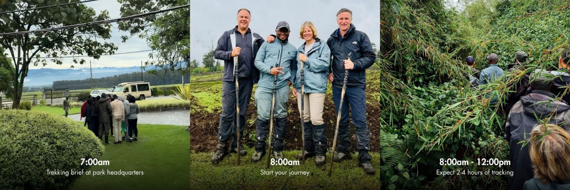 Gorilla trekking, Rwanda - Luxury Africa Safaris with Forth & Wonder