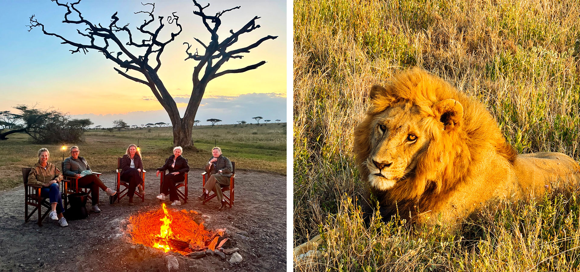Bonfire and lion, Tanzania - Luxury Africa Safaris with Forth & Wonder